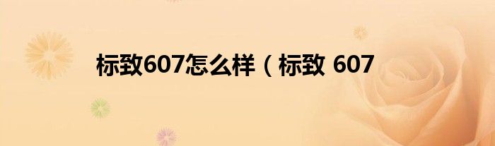 标致607怎么样（标致 607