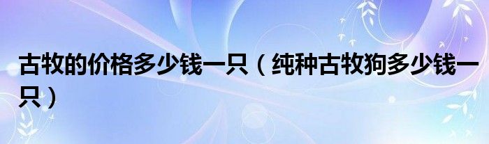 古牧的价格多少钱一只（纯种古牧狗多少钱一只）