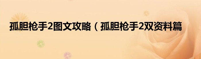 孤胆枪手2图文攻略（孤胆枪手2双资料篇