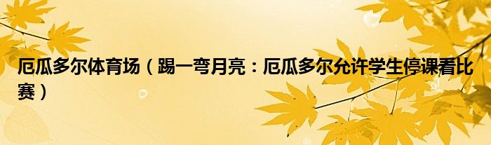 厄瓜多尔体育场（踢一弯月亮：厄瓜多尔允许学生停课看比赛）