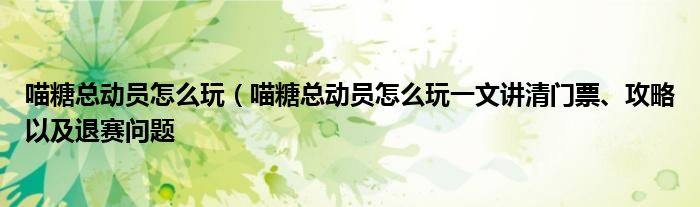 喵糖总动员怎么玩（喵糖总动员怎么玩一文讲清门票、攻略以及退赛问题