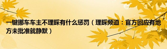 一键挪车车主不理睬有什么惩罚（理睬频道：官方回应有地方未批准就静默）