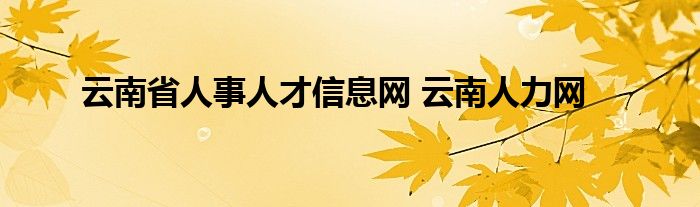 云南省人事人才信息网 云南人力网