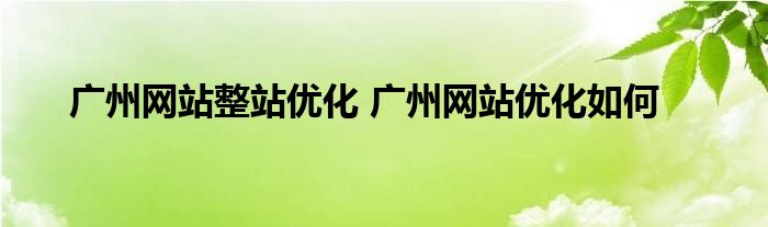广州网站整站优化 广州网站优化如何