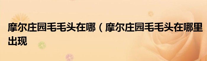 摩尔庄园毛毛头在哪（摩尔庄园毛毛头在哪里出现