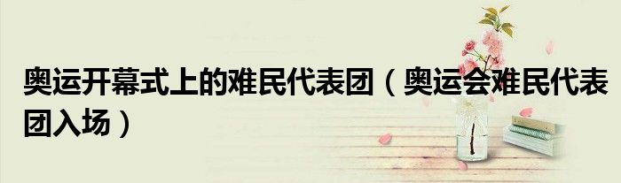 奥运开幕式上的难民代表团（奥运会难民代表团入场）