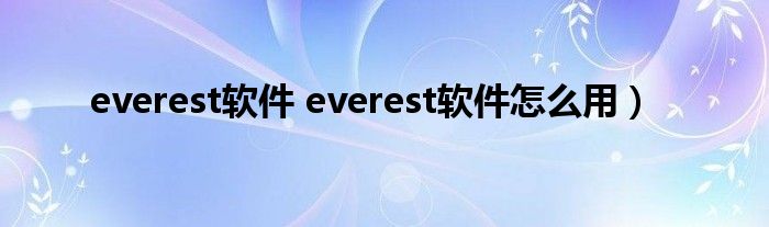 everest软件 everest软件怎么用）