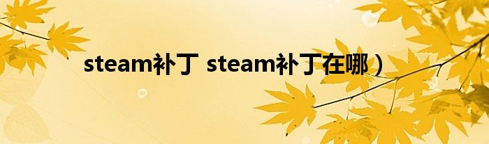 steam补丁 steam补丁在哪）