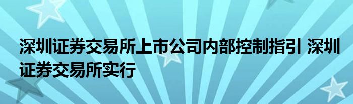 深圳证券交易所上市公司内部控制指引 深圳证券交易所实行