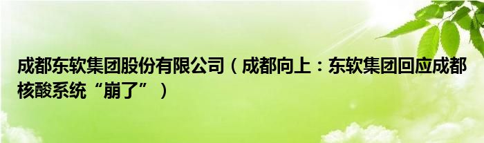 成都东软集团股份有限公司（成都向上：东软集团回应成都核酸系统“崩了”）