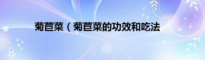菊苣菜（菊苣菜的功效和吃法