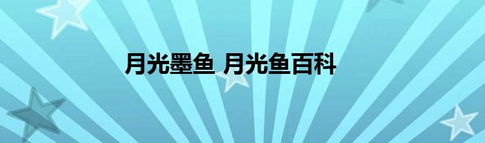 月光墨鱼 月光鱼百科