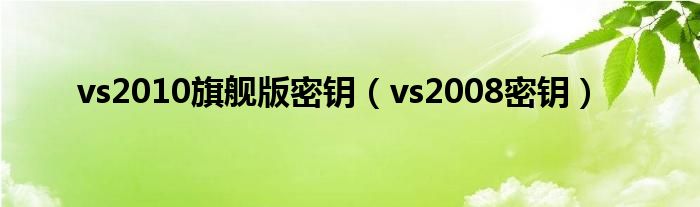 vs2010旗舰版密钥（vs2008密钥）
