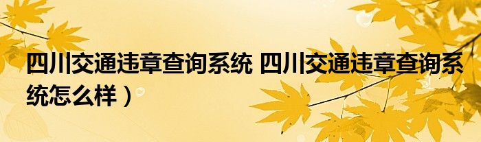 四川交通违章查询系统 四川交通违章查询系统怎么样）