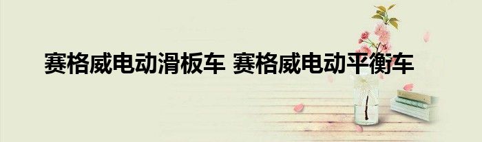 赛格威电动滑板车 赛格威电动平衡车
