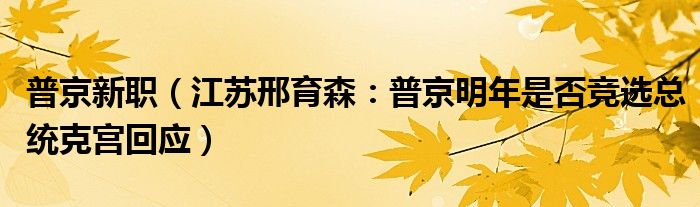 普京新职（江苏邢育森：普京明年是否竞选总统克宫回应）