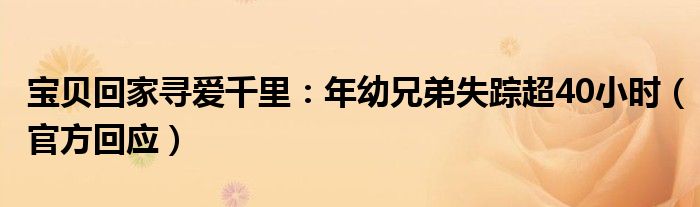 宝贝回家寻爱千里：年幼兄弟失踪超40小时（官方回应）
