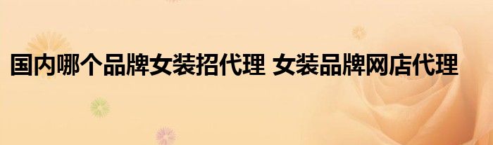 国内哪个品牌女装招代理 女装品牌网店代理