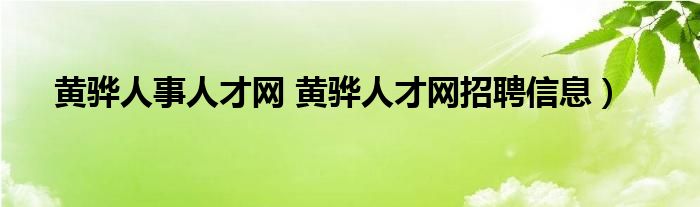 黄骅人事人才网 黄骅人才网招聘信息）