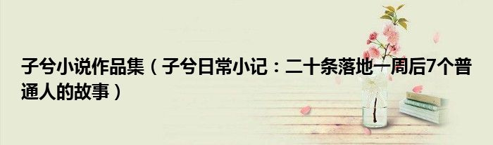 子兮小说作品集（子兮日常小记：二十条落地一周后7个普通人的故事）