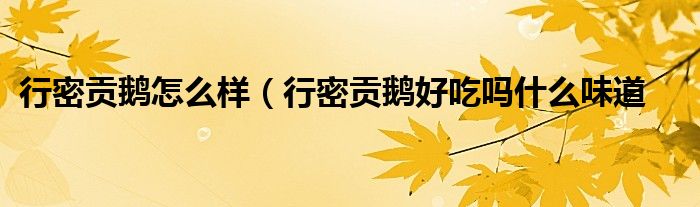 行密贡鹅怎么样（行密贡鹅好吃吗什么味道