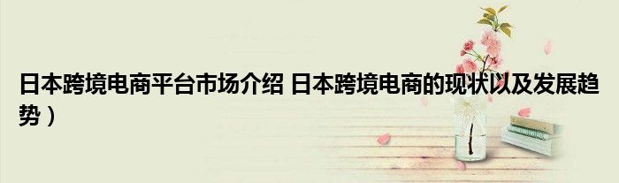 日本跨境电商平台市场介绍 日本跨境电商的现状以及发展趋势）