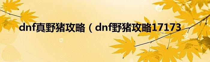 dnf真野猪攻略（dnf野猪攻略17173
