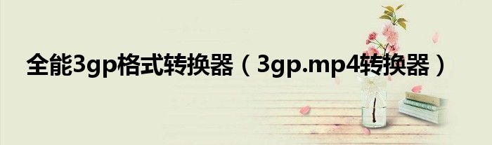 全能3gp格式转换器（3gp.mp4转换器）