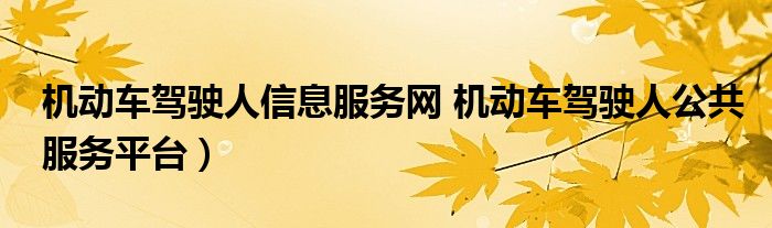机动车驾驶人信息服务网 机动车驾驶人公共服务平台）