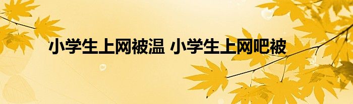 小学生上网被温 小学生上网吧被