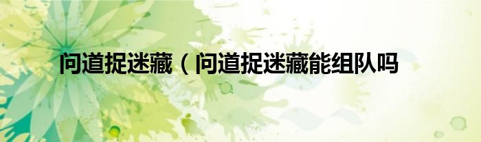 问道捉迷藏（问道捉迷藏能组队吗