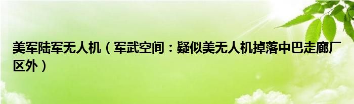美军陆军无人机（军武空间：疑似美无人机掉落中巴走廊厂区外）