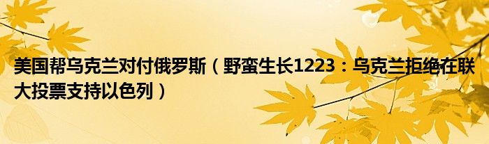 美国帮乌克兰对付俄罗斯（野蛮生长1223：乌克兰拒绝在联大投票支持以色列）
