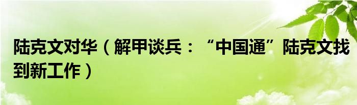 陆克文对华（解甲谈兵：“中国通”陆克文找到新工作）