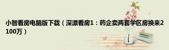 小智看房电脑版下载（深漂看房1：药企卖两套学区房换来2100万）