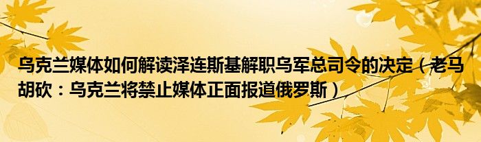 乌克兰媒体如何解读泽连斯基解职乌军总司令的决定（老马胡砍：乌克兰将禁止媒体正面报道俄罗斯）