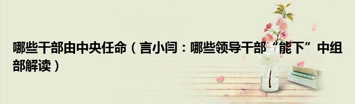 哪些干部由中央任命（言小闫：哪些领导干部“能下”中组部解读）