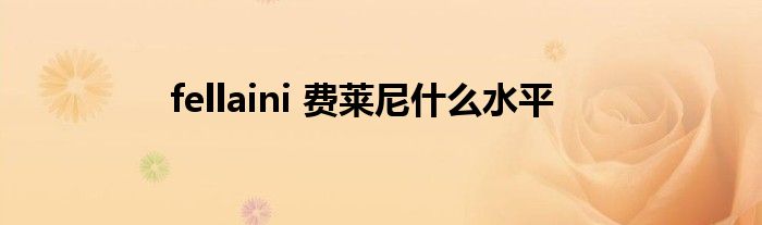 fellaini 费莱尼什么水平