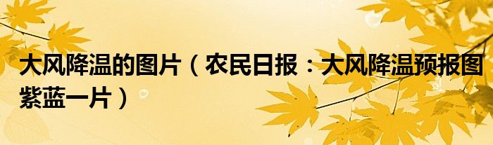 大风降温的图片（农民日报：大风降温预报图紫蓝一片）