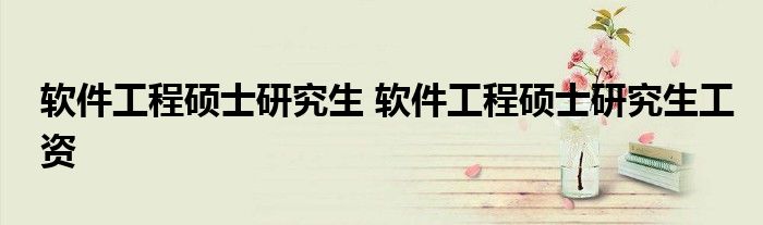 软件工程硕士研究生 软件工程硕士研究生工资