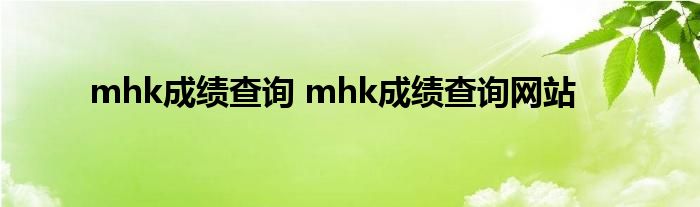 mhk成绩查询 mhk成绩查询网站