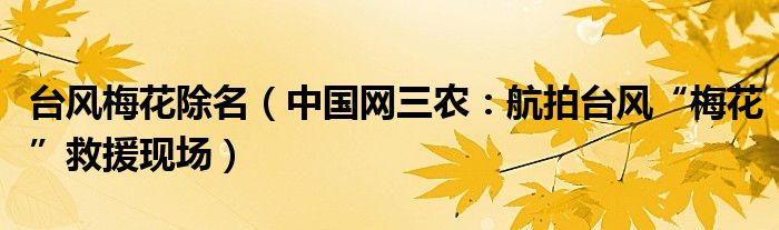 台风梅花除名（中国网三农：航拍台风“梅花”救援现场）