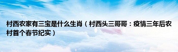 村西农家有三宝是什么生肖（村西头三哥哥：疫情三年后农村首个春节纪实）