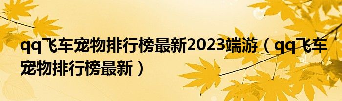 qq飞车宠物排行榜最新2023端游（qq飞车宠物排行榜最新）