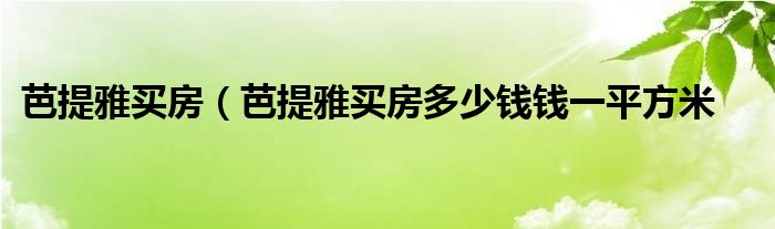 芭提雅买房（芭提雅买房多少钱钱一平方米