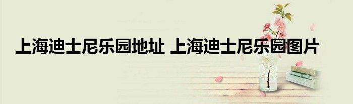 上海迪士尼乐园地址 上海迪士尼乐园图片