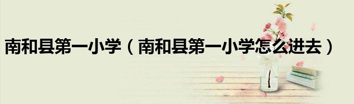 南和县第一小学（南和县第一小学怎么进去）