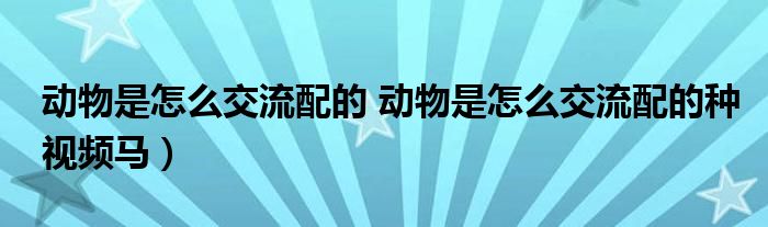 动物是怎么交流配的 动物是怎么交流配的种视频马）