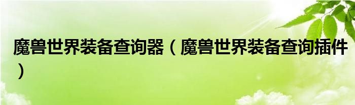 魔兽世界装备查询器（魔兽世界装备查询插件）