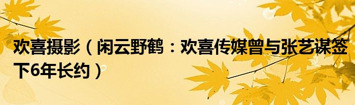 欢喜摄影（闲云野鹤：欢喜传媒曾与张艺谋签下6年长约）
